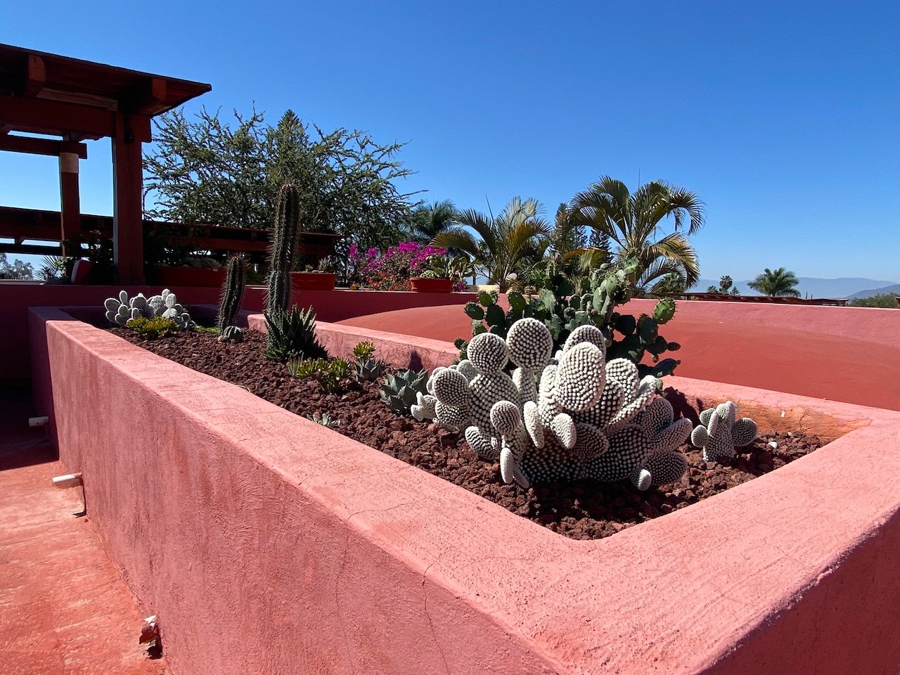 18-IMG_0196